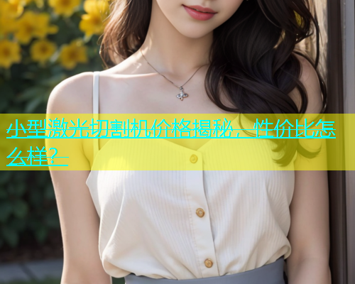 小型激光切割机价格揭秘，性价比怎么样？(图1)